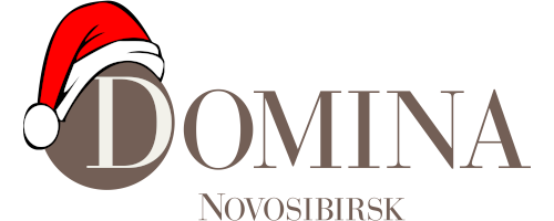 Domina Novosibirsk